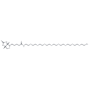 化合物 Biotin-PEG8-amine|T17595|TargetMol