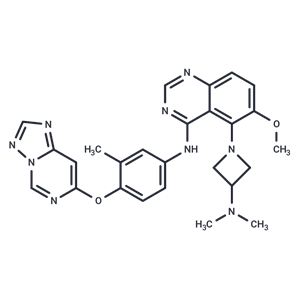 化合物 hERG-IN-2,hERG-IN-2