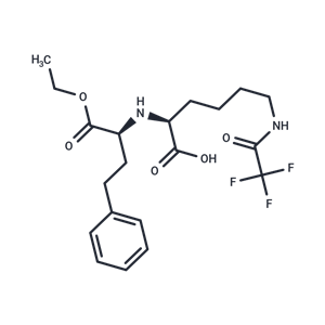 化合物 N6-Trifluoroacetyl-L-Lysine|T67613|TargetMol