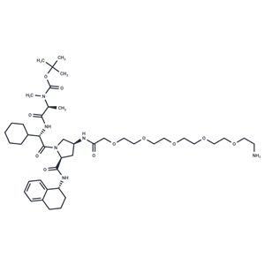 A 410099.1 amide-PEG5-amine|T35473|TargetMol