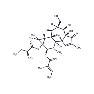 化合物 Tigilanol tiglate|T28975|TargetMol