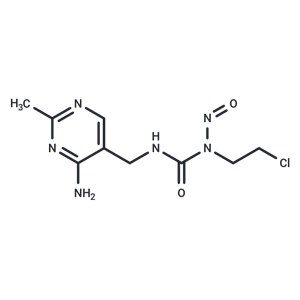 化合物 Nimustine|T21310|TargetMol