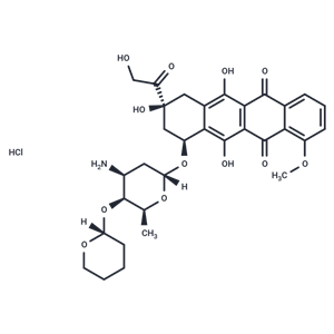 化合物 Pirarubicin HCl|T71713|TargetMol