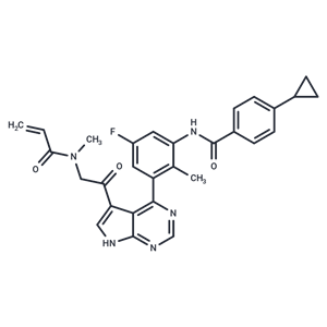 化合物 BTK inhibitor 13|T10628|TargetMol