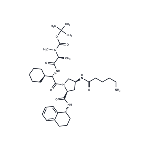 Boc-A 410099.1 amide-alkylC4-amine|T40053|TargetMol