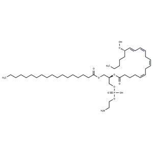 1-Stearoyl-2-15(S)-HpETE-sn-glycero-3-PE,1-Stearoyl-2-15(S)-HpETE-sn-glycero-3-PE