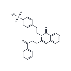 化合物 EGFR/HER2/CDK9-IN-3|T63161|TargetMol