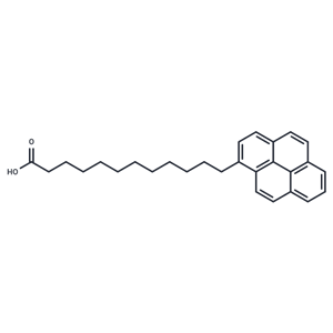 化合物 12-(1-Pyrenyl)dodecanoic acid|T67159|TargetMol