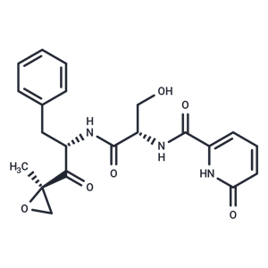 化合物 KZR-504|T15678|TargetMol