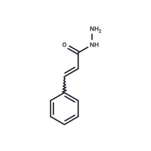 化合物 Cinnamic acid, hydrazide,Cinnamic acid, hydrazide