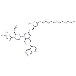 化合物 K-Ras ligand-Linker Conjugate 5|T18058|TargetMol