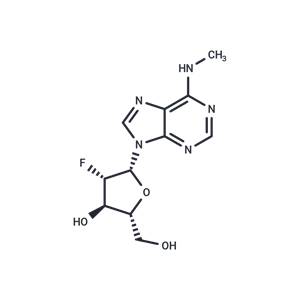 化合物 2’-Fluoro-2’-deoxy-N6-methylarabinoadenosine|TNU0319|TargetMol