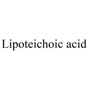 脂磷壁酸,Lipoteichoic acid