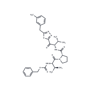 化合物 CE-2072|T25218|TargetMol