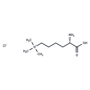 化合物L(fēng)ys(Me)3-OH Chloride|T5066|TargetMol