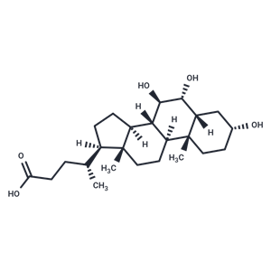 ω-Muricholic Acid|T40790|TargetMol