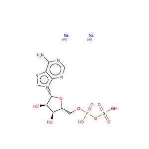 Adenosine 5'-phosphosulfate (sodium salt)|T35574|TargetMol