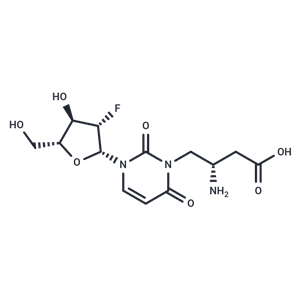 化合物 2’-Deoxy-2’-fluoro-N3-(2S)-(2-amino-3-carbonyl]propyl-beta-D-arabinouridine|TNU0783|TargetMol