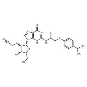 化合物 N2-(Isopropylphenoxyacetyl)-2’-O-propargylguanosine|TNU0918|TargetMol