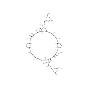 豬苓內(nèi)酯A|T35782|TargetMol