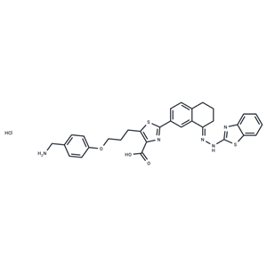 化合物 WEHI-539 hydrochloride|T13337|TargetMol