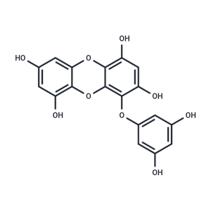 化合物 Eckol|T24025|TargetMol