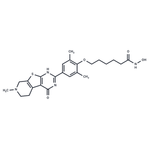 CAY17c|T38381|TargetMol