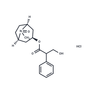 化合物 Atropine Oxide Hydrochloride|T69232|TargetMol