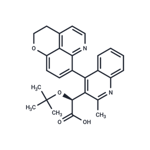 化合物 BI 224436|T14559|TargetMol