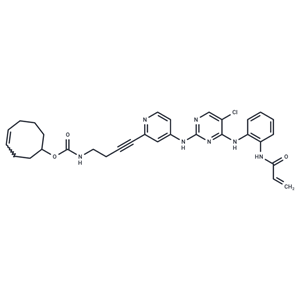 化合物 ERK1/2 inhibitor 9|T78190|TargetMol