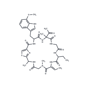 Zelkovamycin|T38347|TargetMol