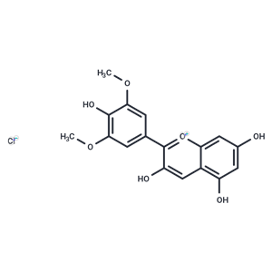 氯化錦葵色素,Malvidin chloride