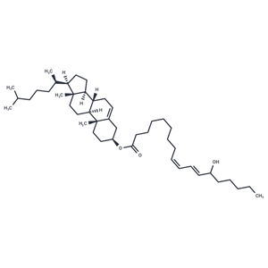 (±)13-HODE cholesteryl ester|T35404|TargetMol