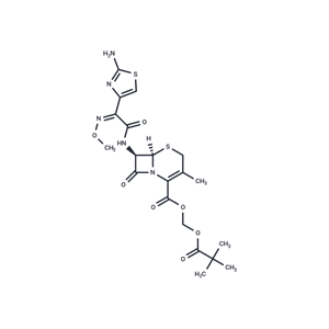 化合物 Cefetamet pivoxyl|T78537|TargetMol