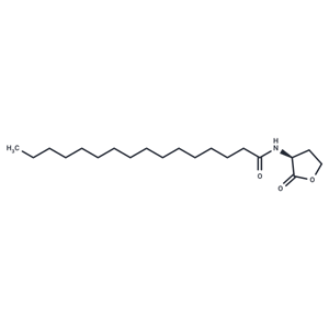 N-hexadecanoyl-L-Homoserine lactone|T37741|TargetMol