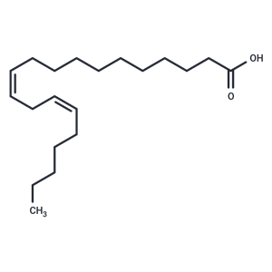 化合物 11(Z),14(Z)-Eicosadienoic acid|T84631|TargetMol