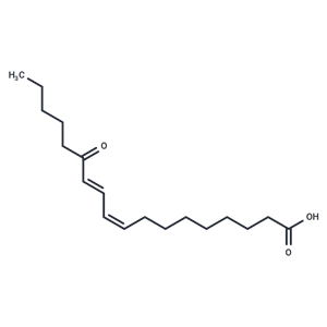 化合物 13-Oxo-ODE,13-Oxo-ODE