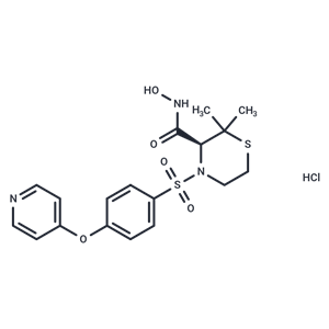 化合物 Prinomastat hydrochloride|T12539|TargetMol