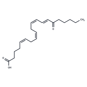 15-OxoETE|T35945|TargetMol