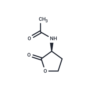 Acetyl-L-Homoserine lactone|T38300|TargetMol