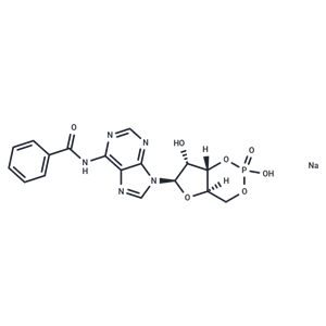 化合物 6-Bnz-cAMP sodium salt|T22529|TargetMol