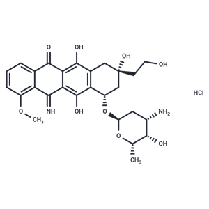 化合物 Camsirubicin HCl|T69669|TargetMol