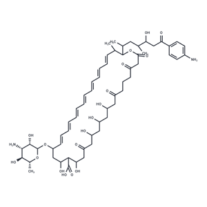 化合物 Candicidin|T25202|TargetMol