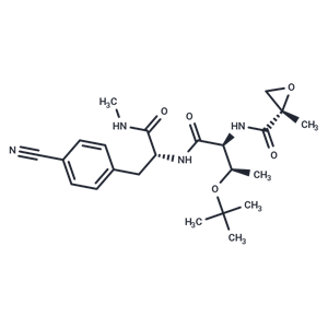 BTK-IN-5|T39612|TargetMol