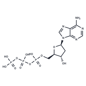 2'-脫氧腺苷 5'-三磷酸酯|T36667|TargetMol