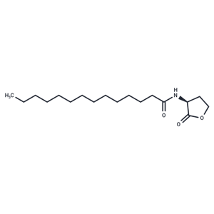 N-tetradecanoyl-L-Homoserine lactone|T37747|TargetMol