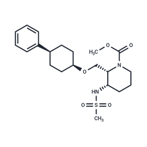 Danavorexton|T39560|TargetMol