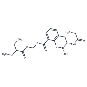 Ledaborbactam etzadroxil,Ledaborbactam etzadroxil