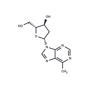 化合物 9-(2-Deoxy-β-D-erythropentofuranosyl)-6-methyl-9H-purine|TNU0182|TargetMol