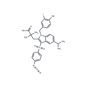 化合物 L 669083|T24322|TargetMol